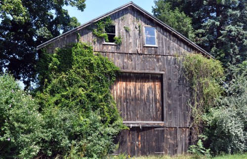 Barn by the Road